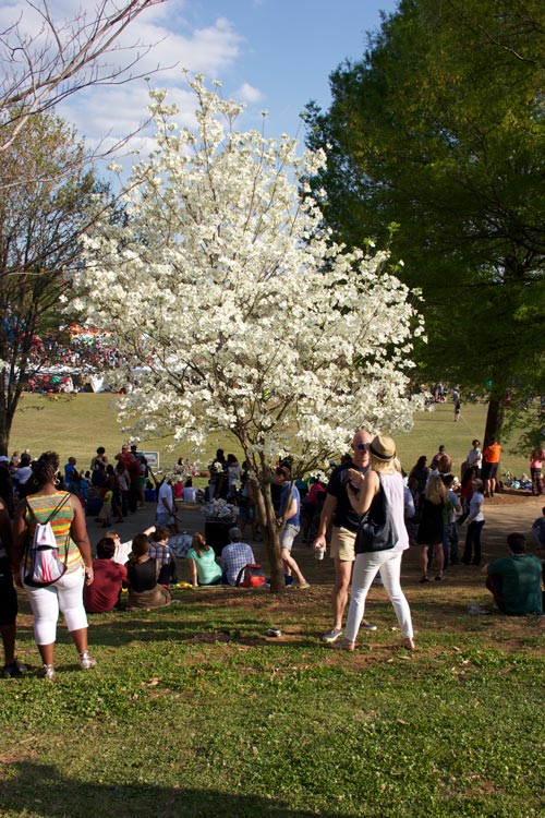 Families at Dogwood Festival  