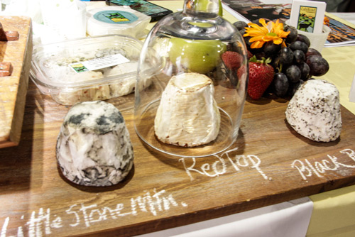 Samples of cheese from CalyRoad Creameries by Jeanne Stack Photography