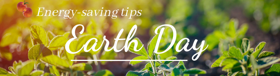 Earth Day Tips to Help Your Restaurant Go Green