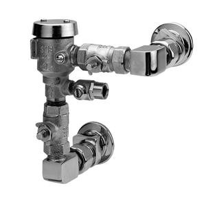 Fisher 14540 1/2"Female Inlet & Outlet Wall Mount Pressure Vacuum Breaker