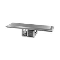 Delfield 46" Drop-In Frost Top, Stainless Steel 1" Elevated Top - N8245P