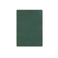 Thunder Group Green Nylon Scrubbing Pad - 100 Per Case - PLNP001
