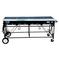Big John Grills 56" LP Gas Country Club Grill w/ Stainless Grates & Hose - A3CC-LPSS