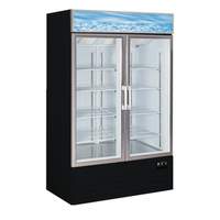 Alamo Refrigeration 25 CuFt Glass Two Door Freezer Merchandiser - D768BMF