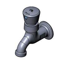 T&S Brass Wall Mount Single Temperature Faucet with Push Button - B-0700-01 