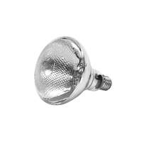 Thunder Group 250 Watt Uncoated Heat Lamp Replacement Bulb - Clear - SEJ90001C