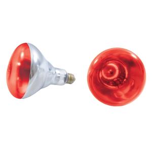 Thunder Group 250 Watt Uncoated Heat Lamp Replacement Bulb - Red - SEJ92001R