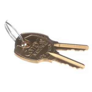 Manitowoc Replacement Parts OEM Ice Machine Replacement Keys - 2 Each - 3060283