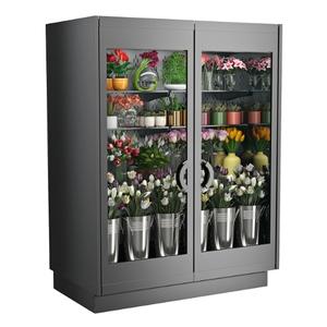Structural Concepts Oasis 63" Black Refrigerated Merchandiser Case w/ 2 Doors - F2