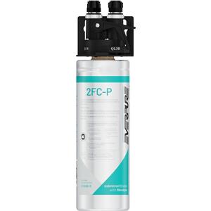 Everpure QL3B 2FC-P PFOA/PFOS Reduction System - 1000 Gal Capacity - EV929800