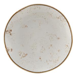 Tuxton China Inc Artisan Geode 10-1/4in Agave Porcelain Round Plate - 1dz - GGA-006 