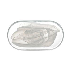 Mikasa Hospitality 8403-2 Ardacam Atlas White Glass 8.3in Dia. Plate - 2dz 