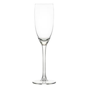 Mikasa Hospitality O-1002268 ONIS Endura 6.25oz Champagne Glass - 6 Each 