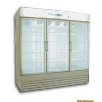 Ascend 61 Cu.Ft Commercial Freezer Merchandiser w/ 3 Glass Doors - JGD-61F