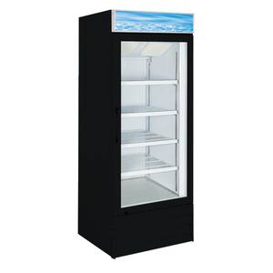 Alamo Refrigeration D648BMF 24 CuFt Glass Door Freezer Merchandiser