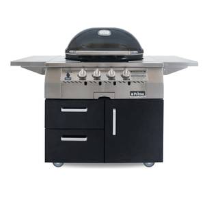 Primo Grills & Smokers PGG420C Oval G 420 Gas Ceramic Grill With Cart