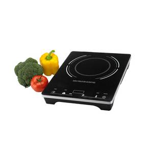 Eurodib C1823 Single Burner Electric Induction Range 120V