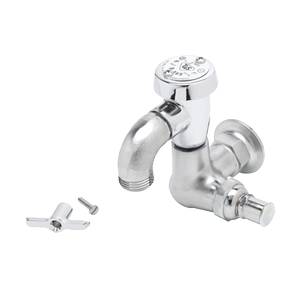 T&S Brass B-0720-RGH Single Temperature Wall Mount Sill Faucet