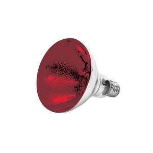 Thunder Group SEJ90001R 250 Watt Uncoated Heat Lamp Replacement Bulb - Red