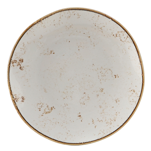 Tuxton China Inc GGA-006 Artisan Geode 10-1/4" Agave Porcelain Round Plate - 1 Doz