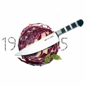 F. Dick 8194726 1905 Series 10" Chef Knife