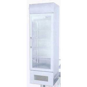 Ascend JGD-23F 23 Cu.Ft Commercial Freezer Merchandiser w/ 1 Glass Door 
