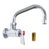 Fisher 18050 Single Wall Control Valve with 16in Swing Spout & Lever Handle 