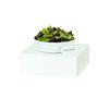 Cal-Mil 23123-6-15 Juno 14in x 14in x 6"H White Metal Display Riser 