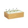 Cal-Mil 23184-12-21 Sydney 21.25in x 13.25in x 7"H Oak Beverage/Ice Display 