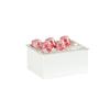 Cal-Mil 23712-10-15 Classic 10in x 12in x 6"H White Ice Display 