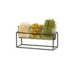 Cal-Mil 23747-6-13 12.5in x 4.5in x 6"H Black Wire 3 Jar Condiment Organizer 