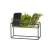 Cal-Mil 23747-9-13 12.5in x 4.5in x 9"H Black Wire 3 Jar Condiment Organizer 