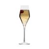 Mikasa Hospitality 5275301 Claire 9.25oz Champagne Flute Glass - 2dz 