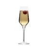 Mikasa Hospitality 5275313 Lucie 8.75oz Champagne Flute Glass - 2dz 