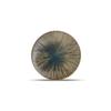 Mikasa Hospitality 5314582 F2D Halo Forest Porcelain 7.9in Dia. Coupe Plate - 2dz 