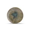 Mikasa Hospitality 5315547 F2D Halo Forest Porcelain 11in Dia. Coupe Plate - 1dz 