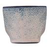 Mikasa Hospitality 5324968 Roots Blue Vitrified Stoneware 2.7oz Cup - 1dz 