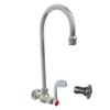Fisher 68969 Single Wall-Mount Wrist-Handle Faucet with 12in Gooseneck Spout 