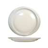 International Tableware, Inc Y-19 York American White 10-7/8in x 10in Ceramic Platter - 2dz 