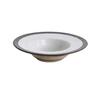 Yanco China RO-909 Rockeye Glazed Porcelain 10oz 9.25in dia. Soup Plate- 2dz 