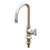 T&S Brass Deck Mounted Pantry Faucet with 10in Rigid Gooseneck Spout - B-0305-VF22 