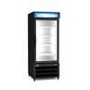 Kelvinator 23 Cu ft. Capacity Glass Door Freezer Merchandiser - KCHGM26F 