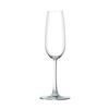 Anchor Hocking Matera 7oz Glass Stemmed Champagne Flute - 2dz - 14158 