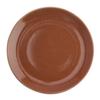 Oneida Terra Verde Cotta 11in Porcelain Dinner Plate - 18 Per Case - F1493025155 