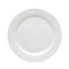 Oneida Tundra Bone White 9.875in Porcelain Dinner Plate - 1dz - F1400000147 