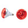 Thunder Group 250W Uncoated Heat Lamp Replacement Bulb - Red - SEJ92001R 