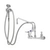 T&S Brass Wall Mount Mixing Faucet with Spray Hose & 12in Swing Nozzle - B-0175 