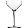 Libbey 9329 Master's Reserve 8oz Coupe Cocktail Glass - 1dz 
