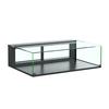 Structural Concepts NR4813DSV Reveal 48in Black Countertop Glass Display Case with Top Lights 