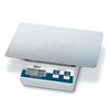 Edlund E-160 OP Countertop Digital Portion Scale with Automatic Tare Button 